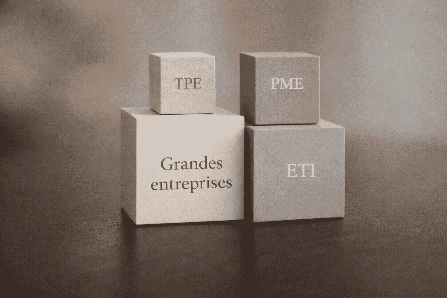 Formations accessibles TPE PME ETI — ALESYA Conseil