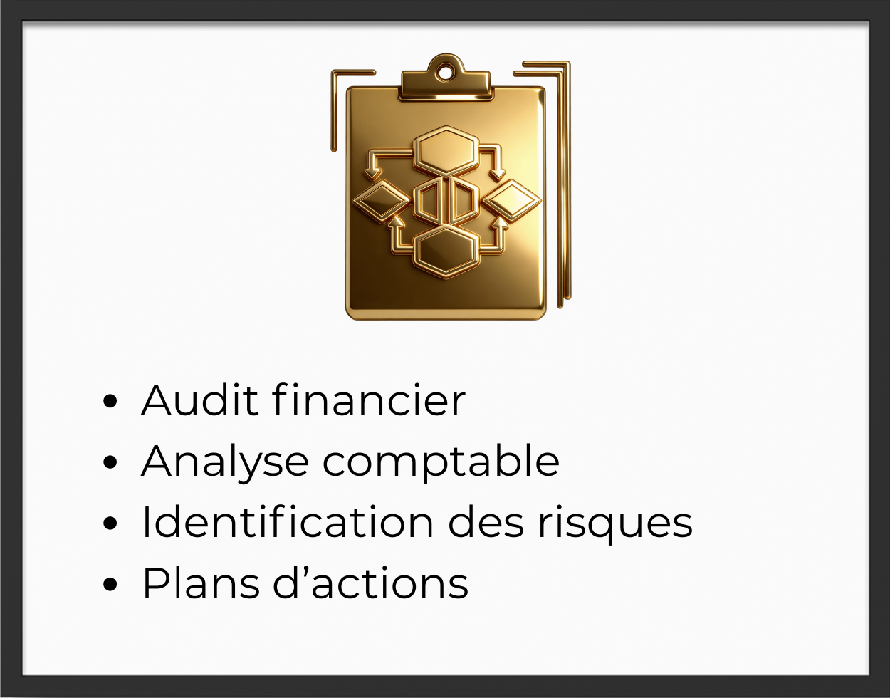Audit Financier ALESYA Conseil